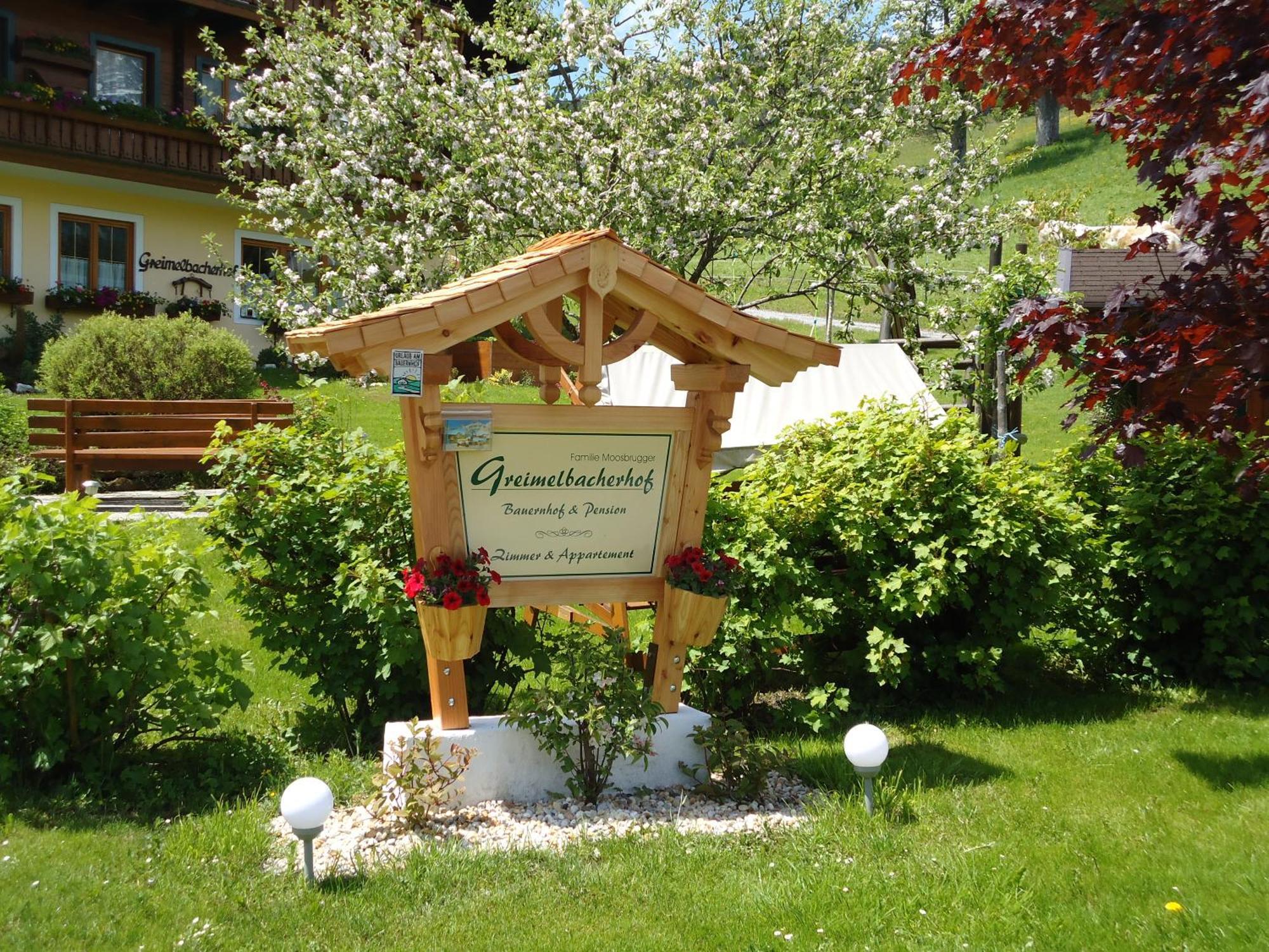 Pension-Greimelbacherhof Ramsau am Dachstein Extérieur photo