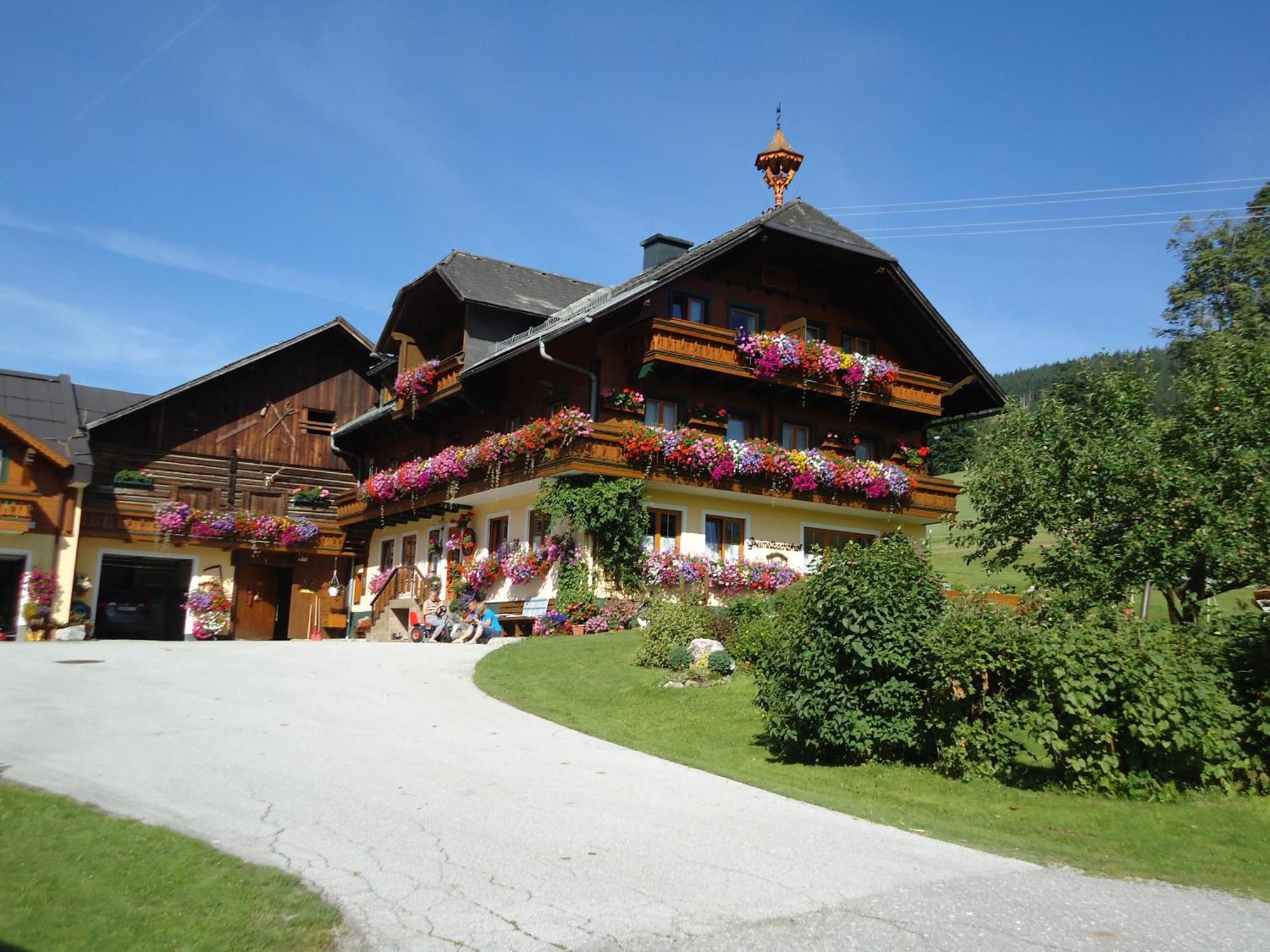 Pension-Greimelbacherhof Ramsau am Dachstein Extérieur photo