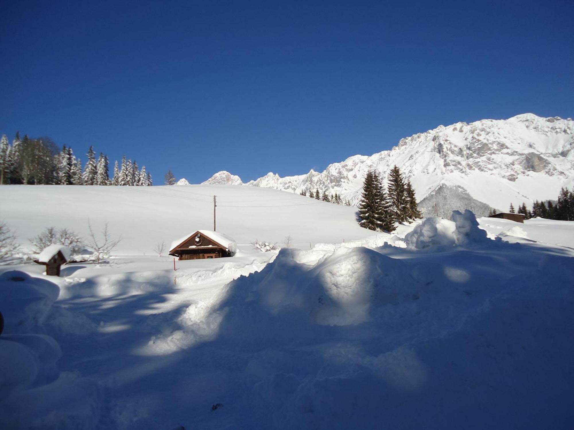 Pension-Greimelbacherhof Ramsau am Dachstein Chambre photo