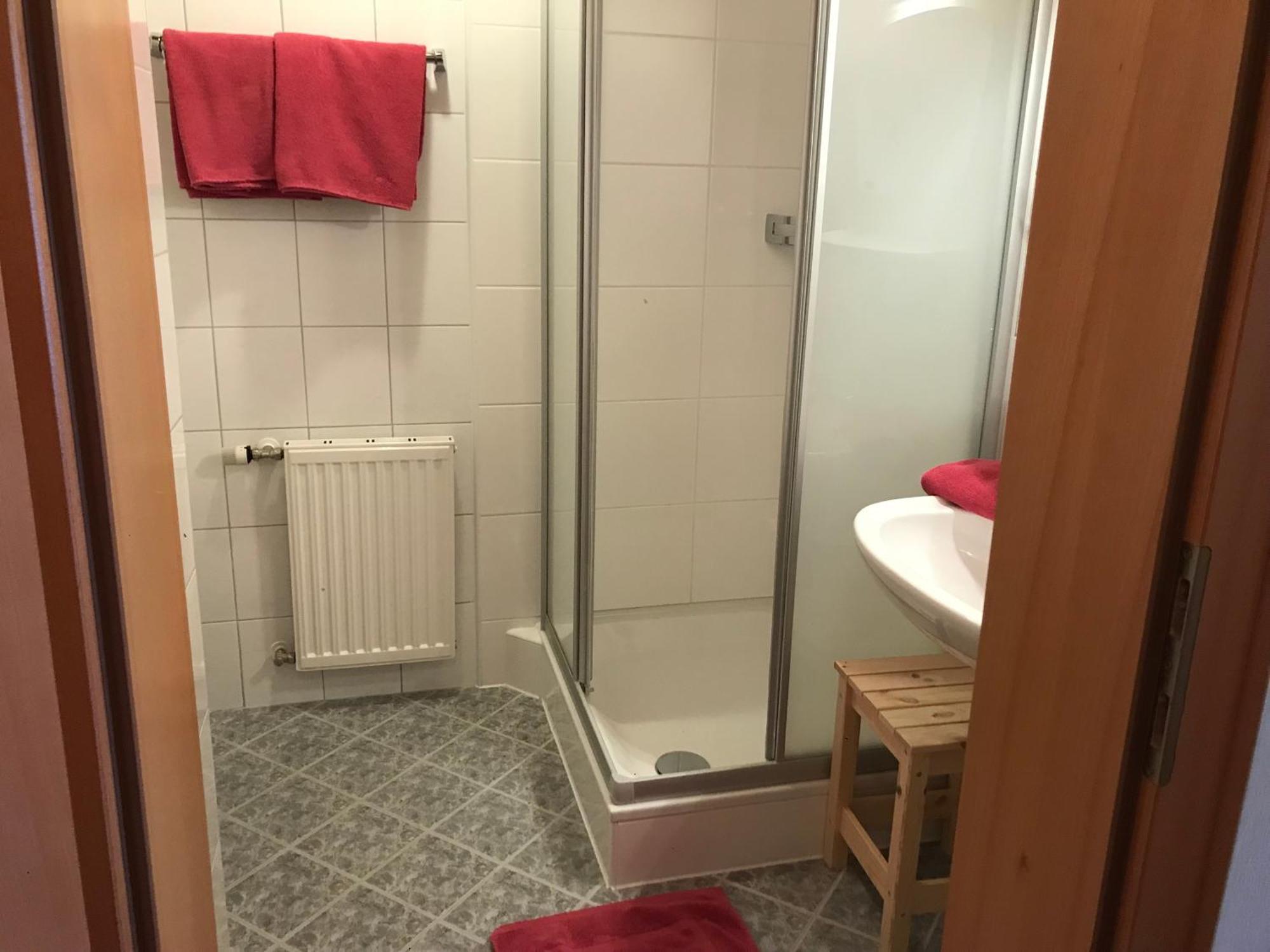 Pension-Greimelbacherhof Ramsau am Dachstein Extérieur photo