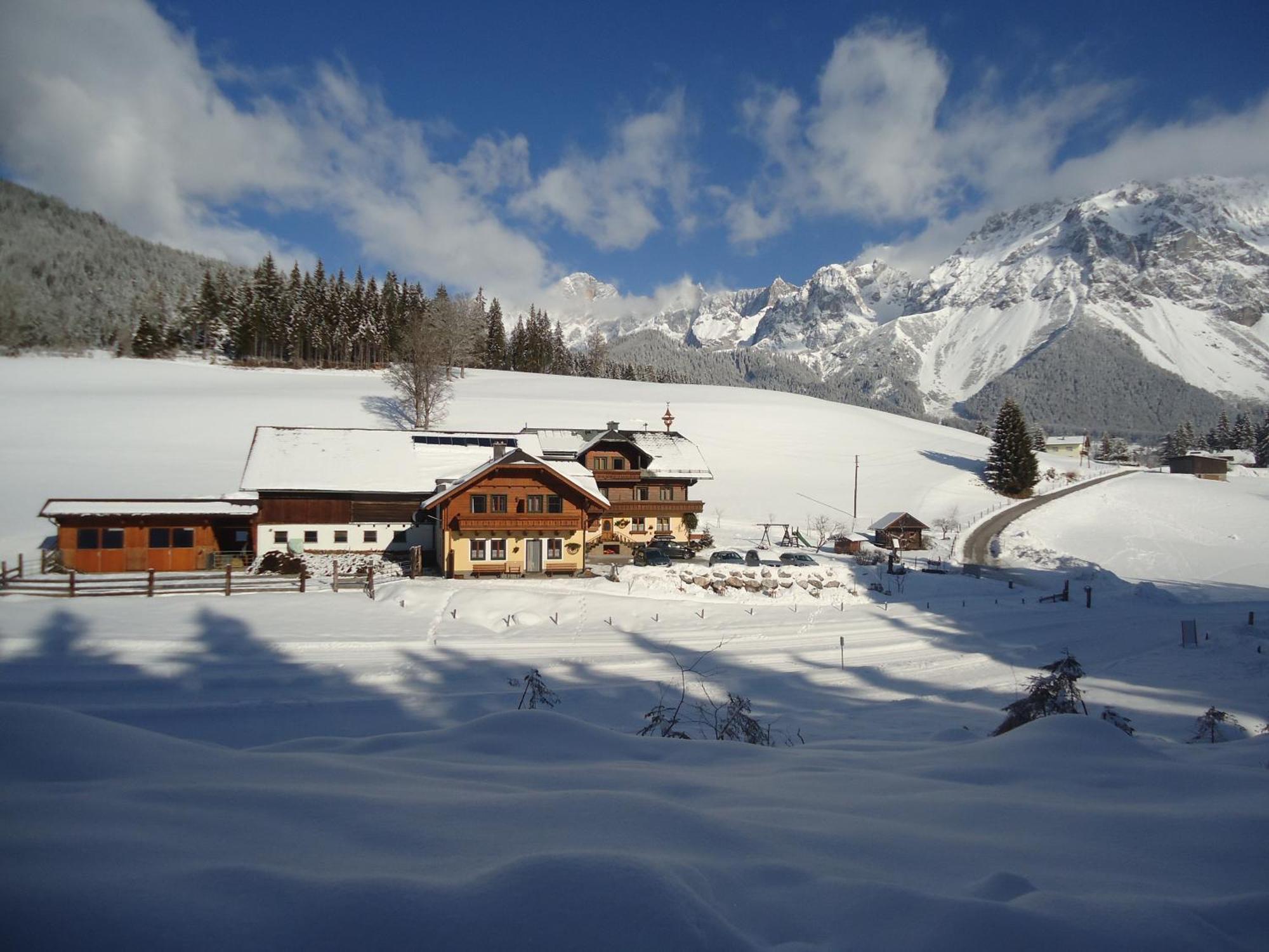 Pension-Greimelbacherhof Ramsau am Dachstein Extérieur photo