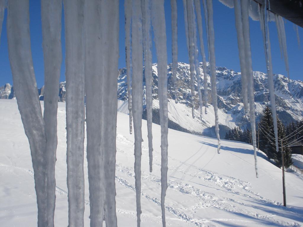 Pension-Greimelbacherhof Ramsau am Dachstein Extérieur photo