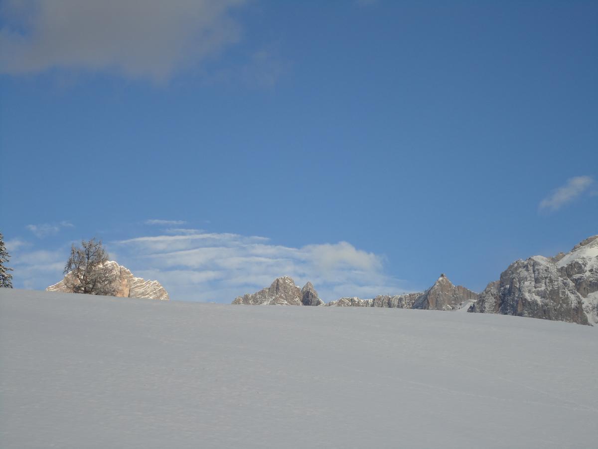 Pension-Greimelbacherhof Ramsau am Dachstein Extérieur photo