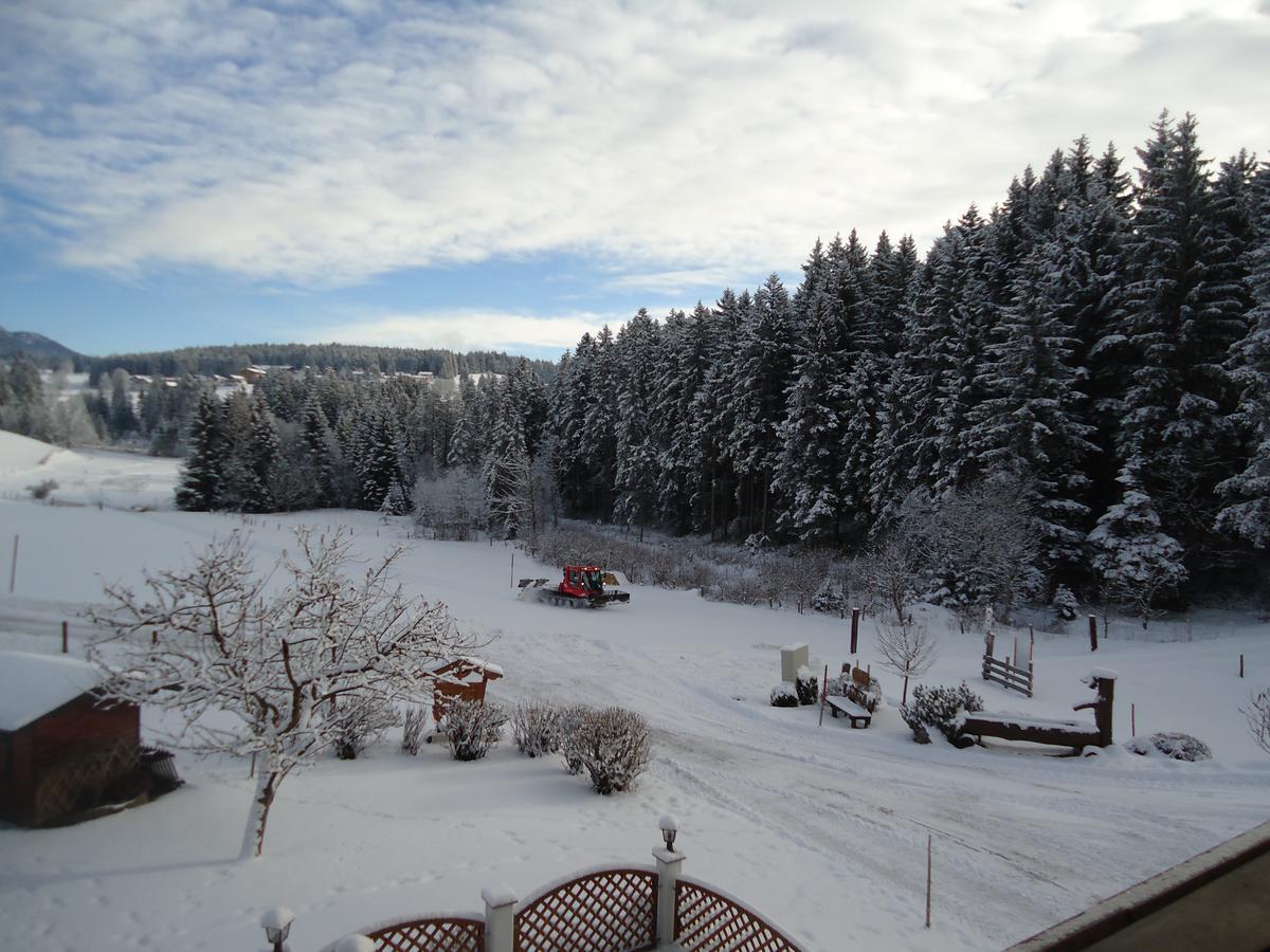 Pension-Greimelbacherhof Ramsau am Dachstein Extérieur photo