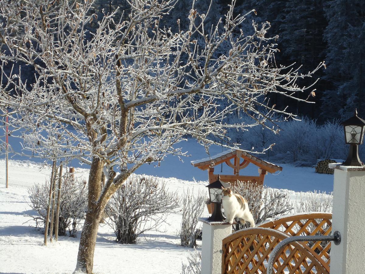 Pension-Greimelbacherhof Ramsau am Dachstein Extérieur photo