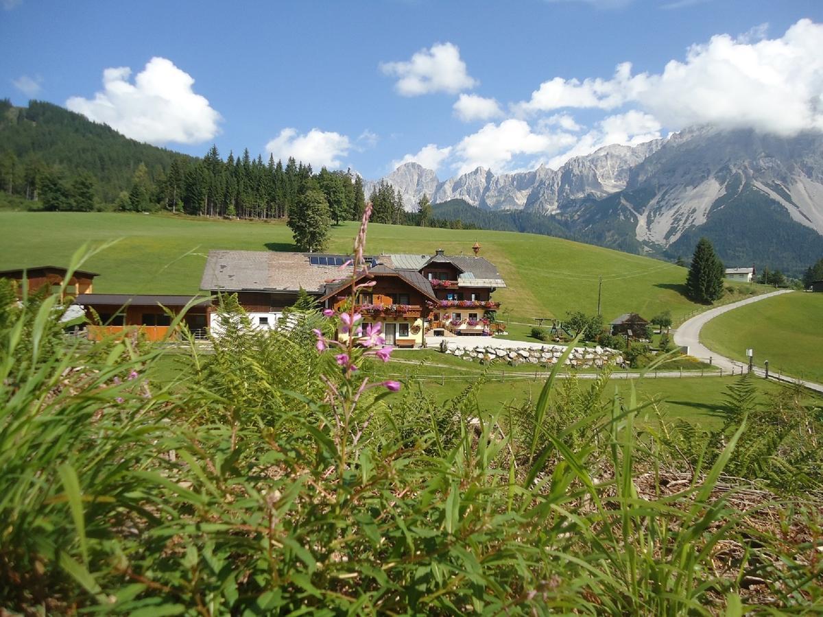 Pension-Greimelbacherhof Ramsau am Dachstein Extérieur photo