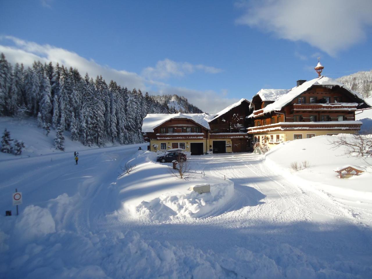 Pension-Greimelbacherhof Ramsau am Dachstein Extérieur photo