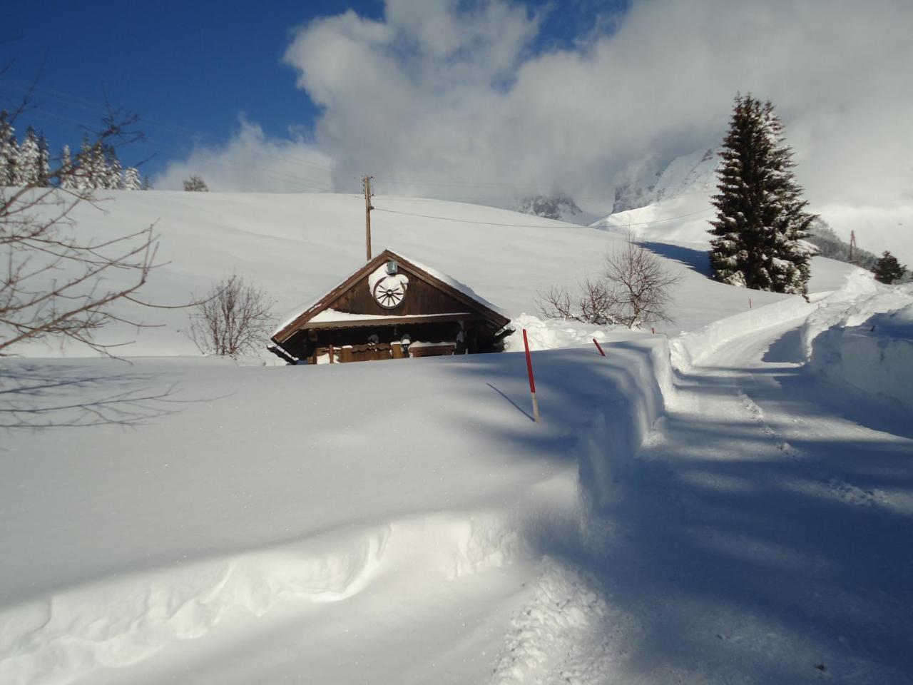 Pension-Greimelbacherhof Ramsau am Dachstein Extérieur photo